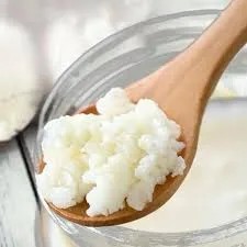 Milk Kefir Grains With Kit
