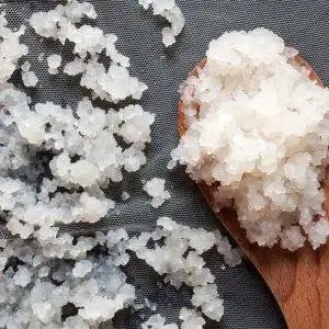 Coconut Water Kefir Grains With kit